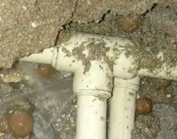 伽师测漏水多少钱