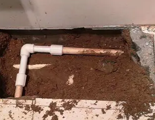 伽师测漏水哪家好