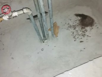 伽师卫生间测漏水价格明细