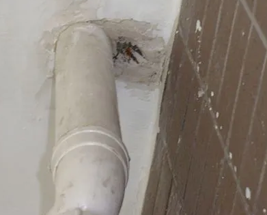 伽师漏水检测哪家好